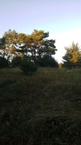 Działka rolna Małszewo. Zdjęcie 1