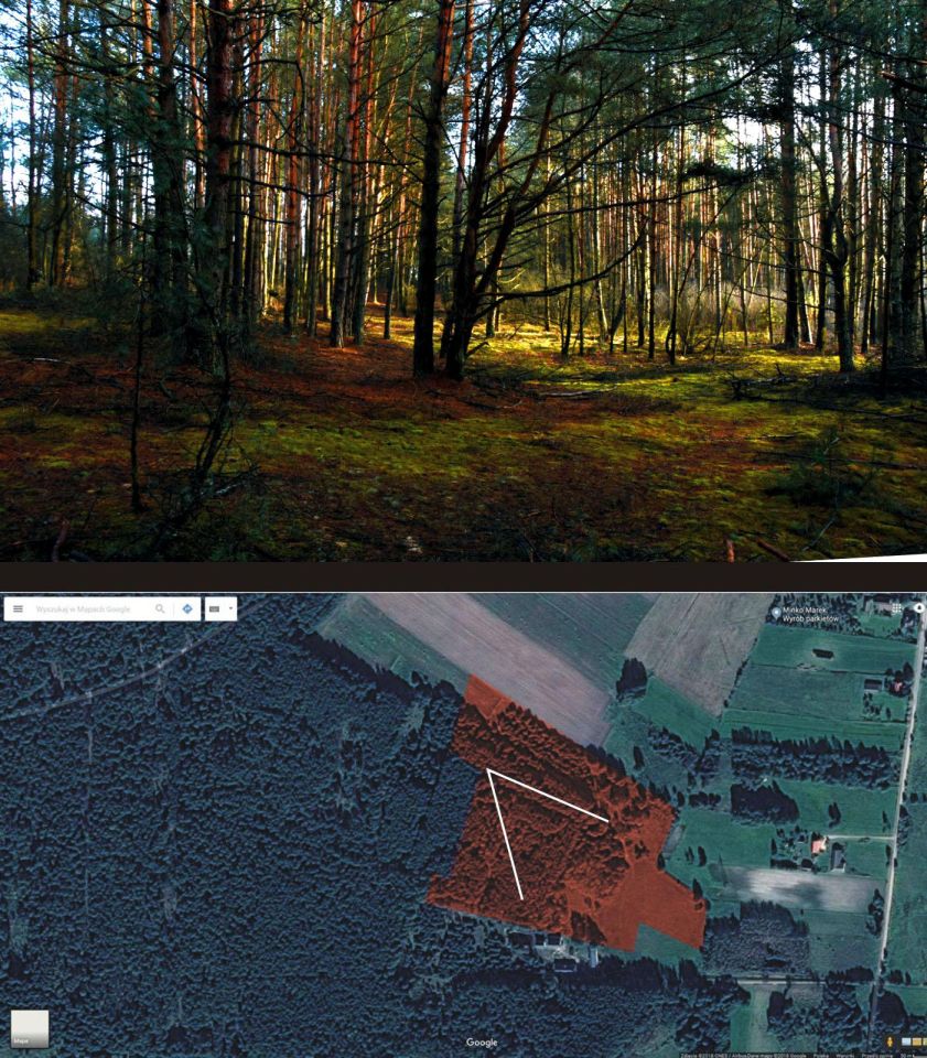 Działka budowlana Turna Duża. Zdjęcie 26