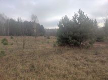 Działka rolna Wola Kanigowska. Zdjęcie 1