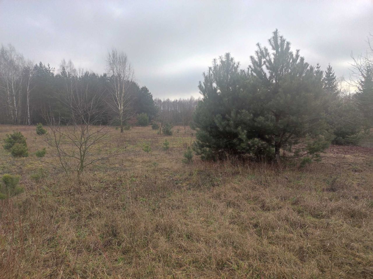 Działka rolna Wola Kanigowska. Zdjęcie 2