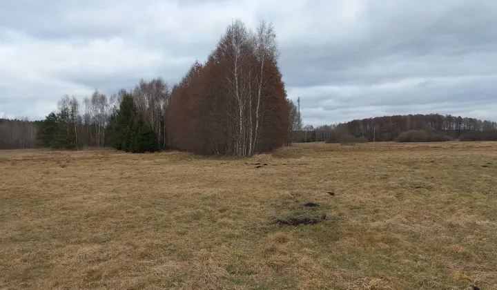 Działka rolna Gródek