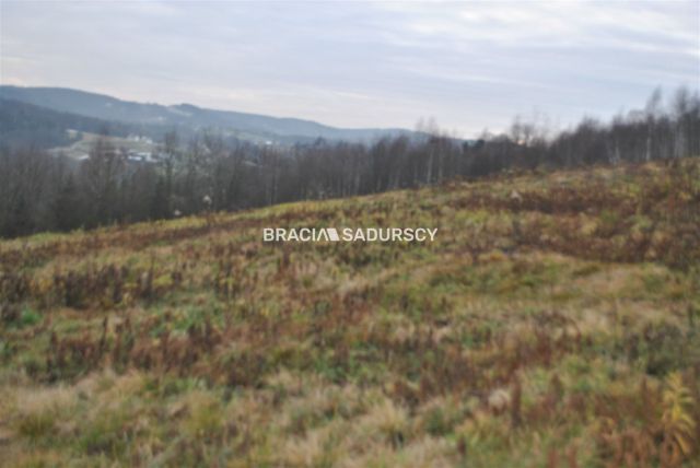 Działka rolno-budowlana Głogoczów. Zdjęcie 4