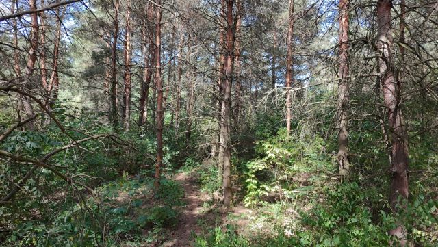 Działka budowlana Kady. Zdjęcie 11