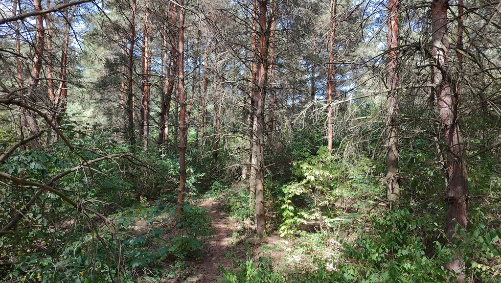 Działka budowlana Kady. Zdjęcie 11