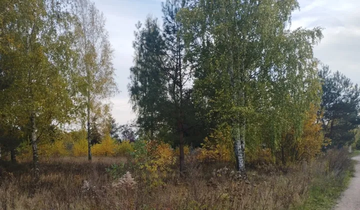 Działka budowlana Żelechów