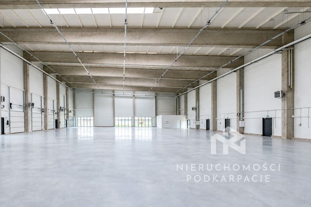 Hala/magazyn Rzeszów Dworzysko, ul. Biznesowa. Zdjęcie 29