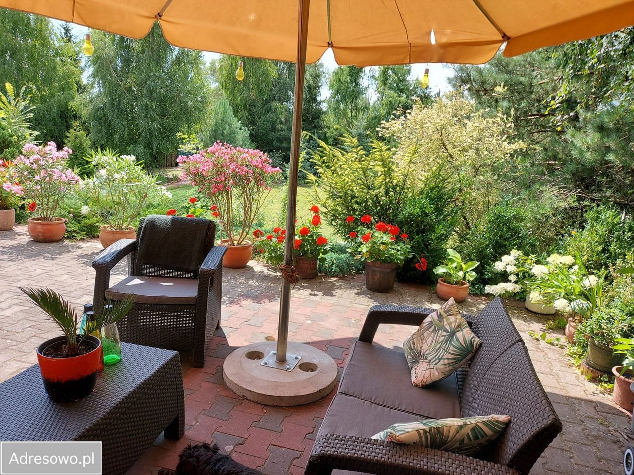 dom wolnostojący, 6 pokoi Piotrków Trybunalski. Zdjęcie 6