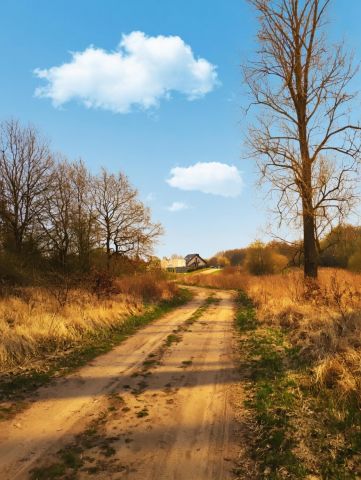 Działka budowlana Stara Dąbrowa. Zdjęcie 2