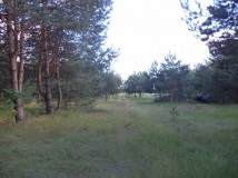 Działka siedliskowa Rędziny. Zdjęcie 3