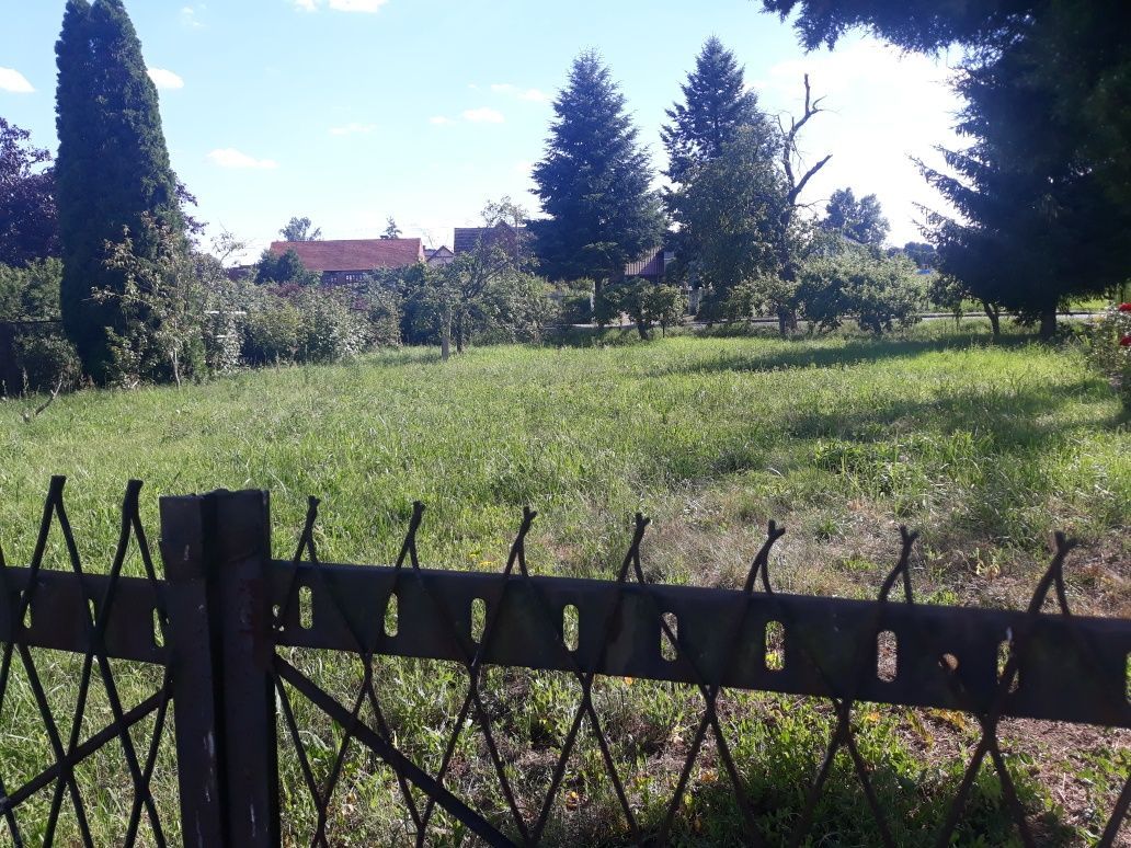 Działka rekreacyjna Olszany. Zdjęcie 3