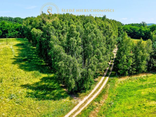 Działka budowlana Proszkowa. Zdjęcie 7