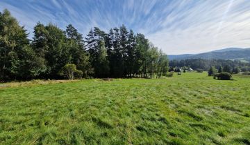 Działka rekreacyjna Kocoń, ul. Żywiecka