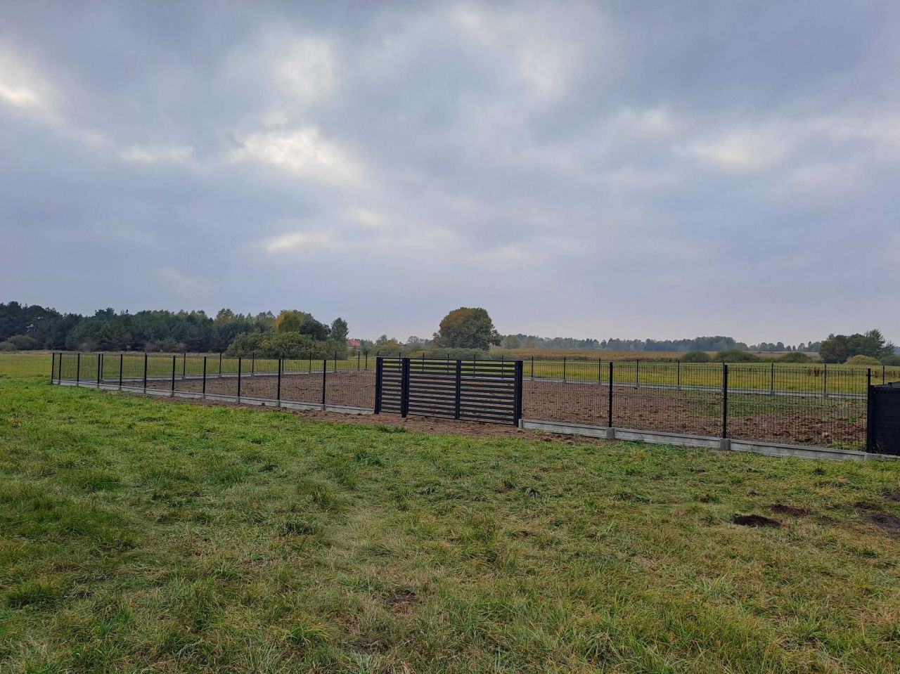 Działka rolna Michałki. Zdjęcie 3