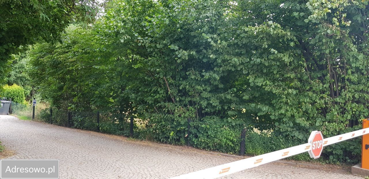 Działka budowlana Świny. Zdjęcie 20