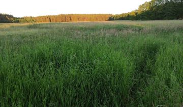 Działka rolno-budowlana Wiewiórowo