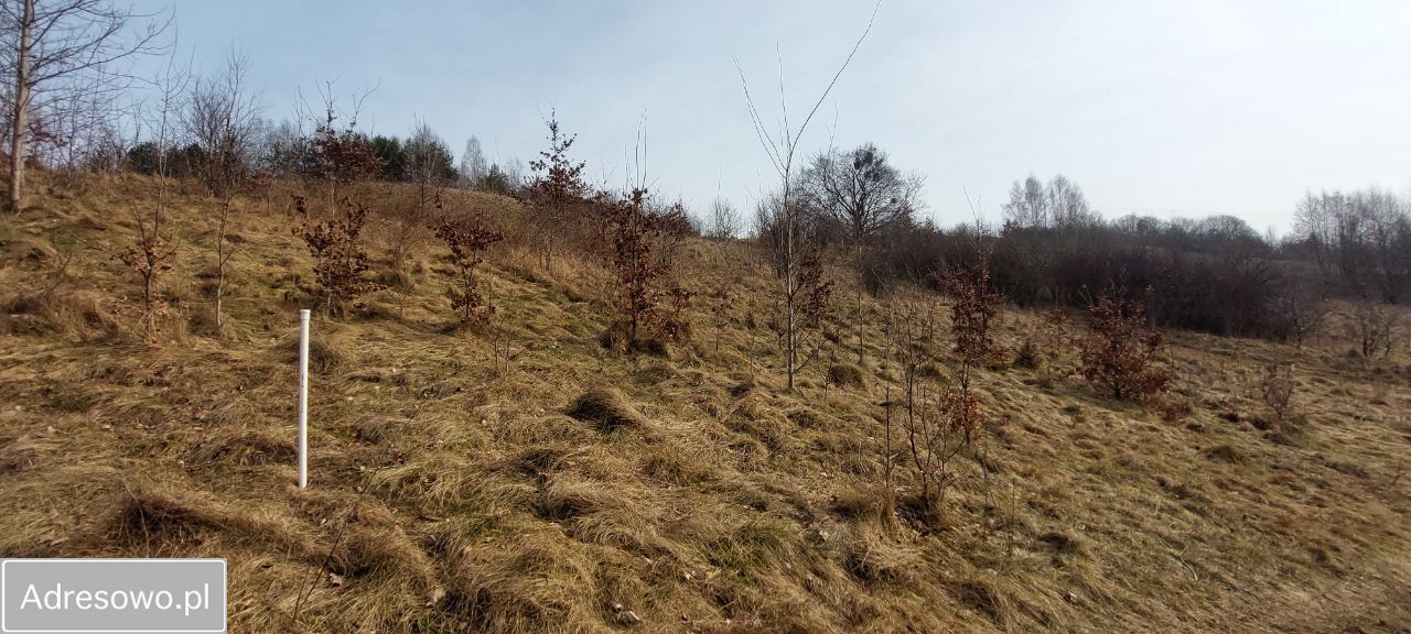 Działka rekreacyjna Brodnica Dolna, ul. Jastrzębia. Zdjęcie 15