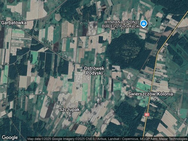 Działka rolna Ostrówek Podyski. Zdjęcie 1