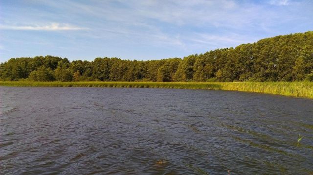 Działka rolna Elganowo. Zdjęcie 4