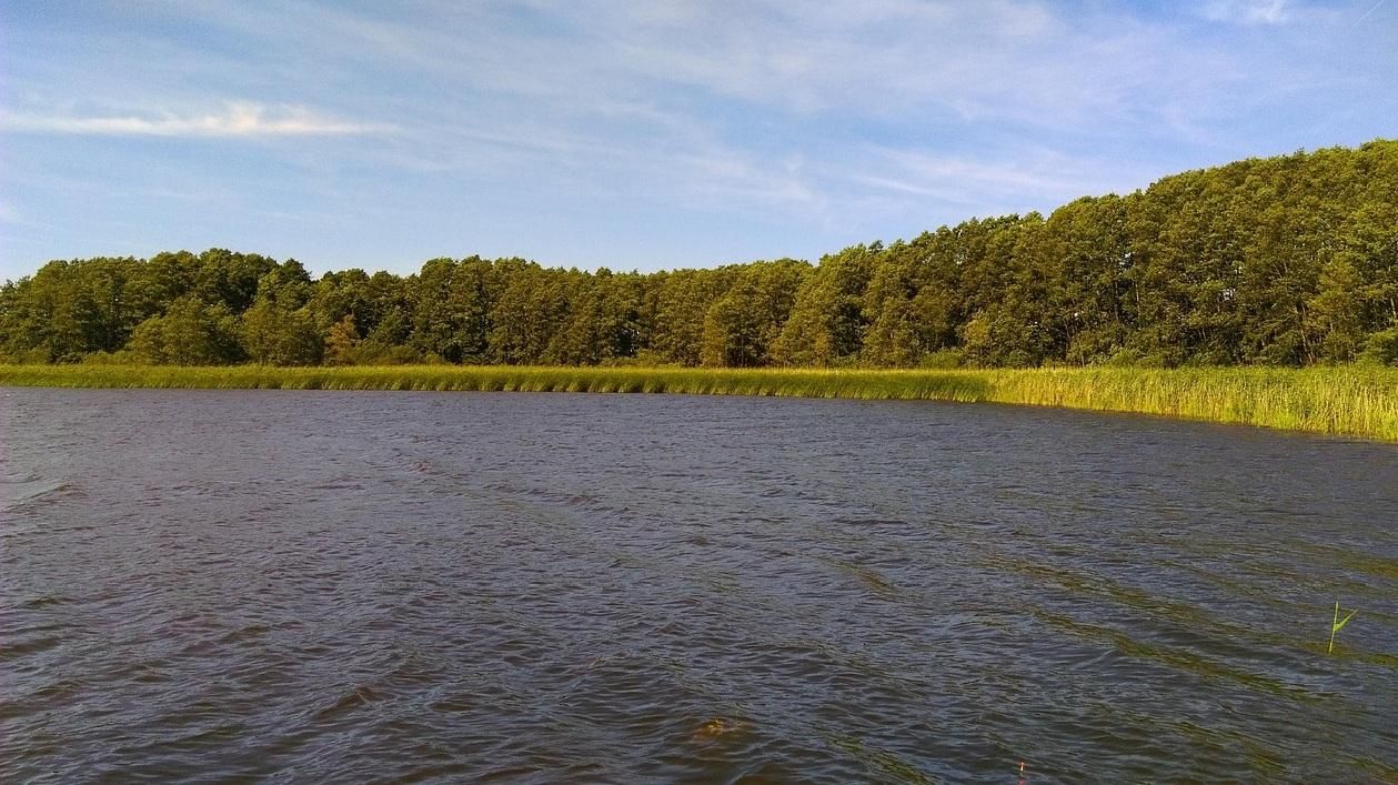 Działka rolna Elganowo. Zdjęcie 4