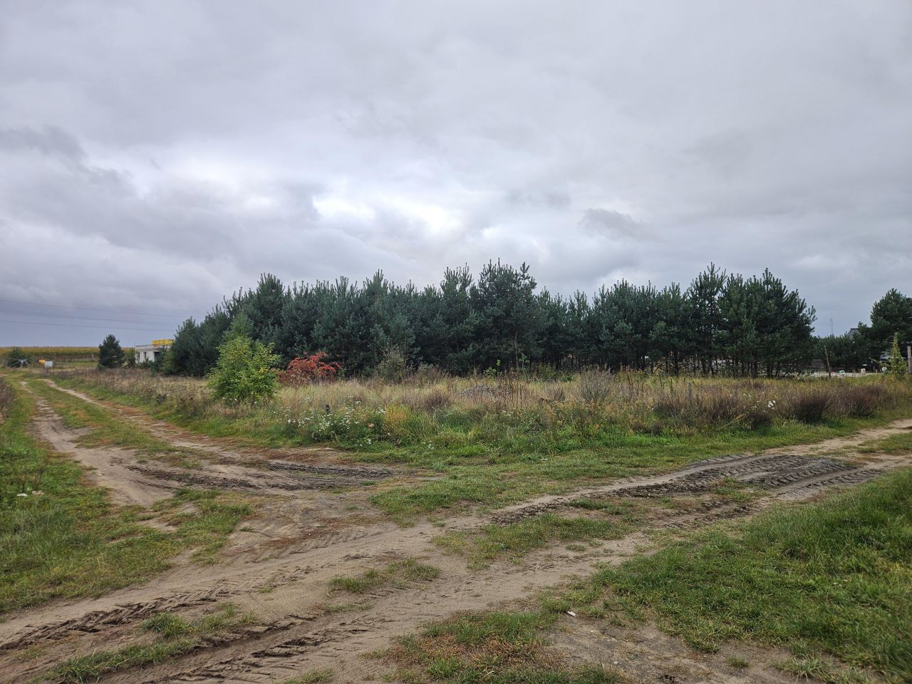 Działka budowlana Cybinka, ul. Kaliska