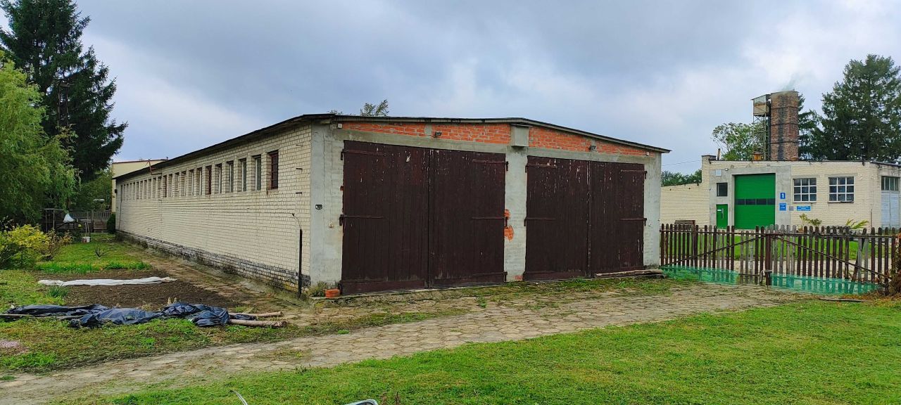 Hala/magazyn Trzeszczany Pierwsze. Zdjęcie 5