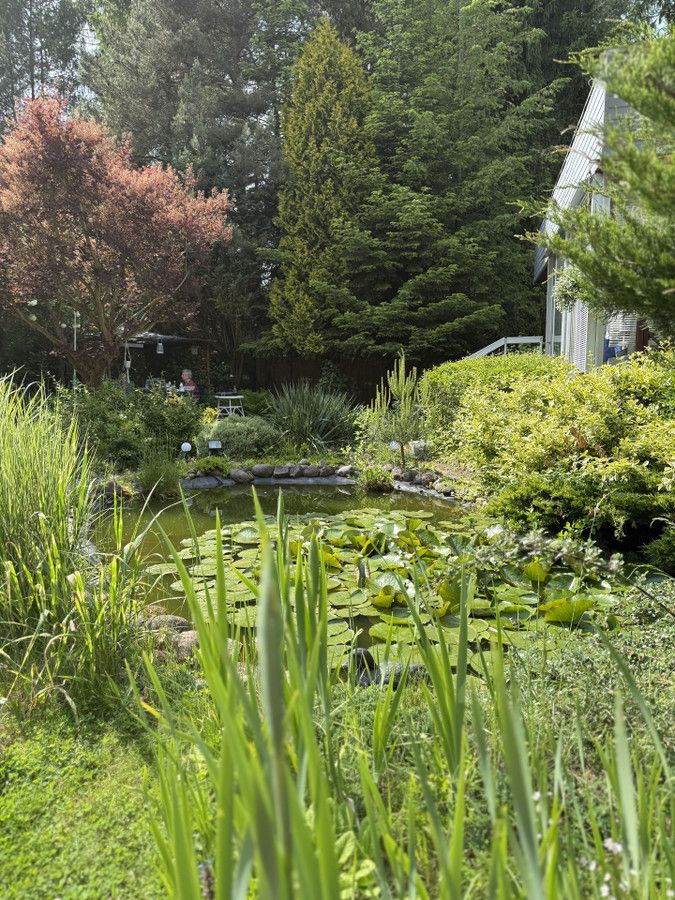 Działka rod Prawda. Zdjęcie 8