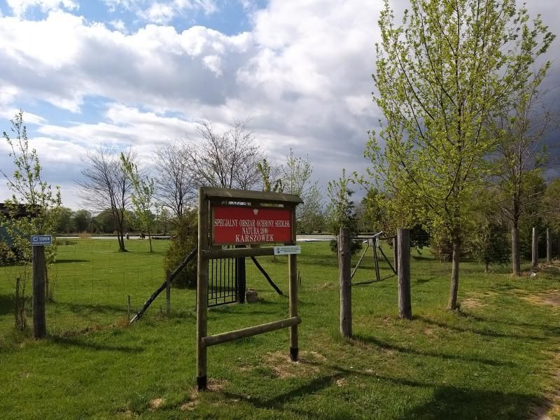 Działka rekreacyjna Kaszówka. Zdjęcie 5