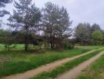 Działka budowlana Władysławowo. Zdjęcie 1