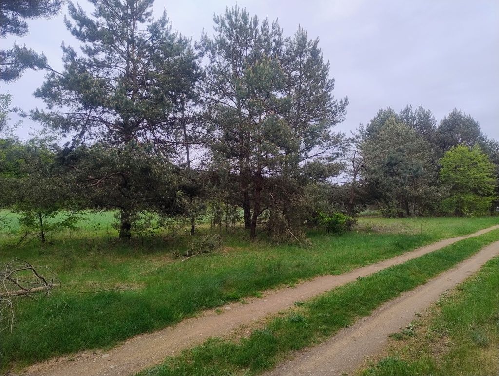 Działka budowlana Władysławowo. Zdjęcie 2
