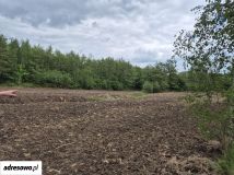 Działka budowlana Słupice, ul. Słowiańska. Zdjęcie 2