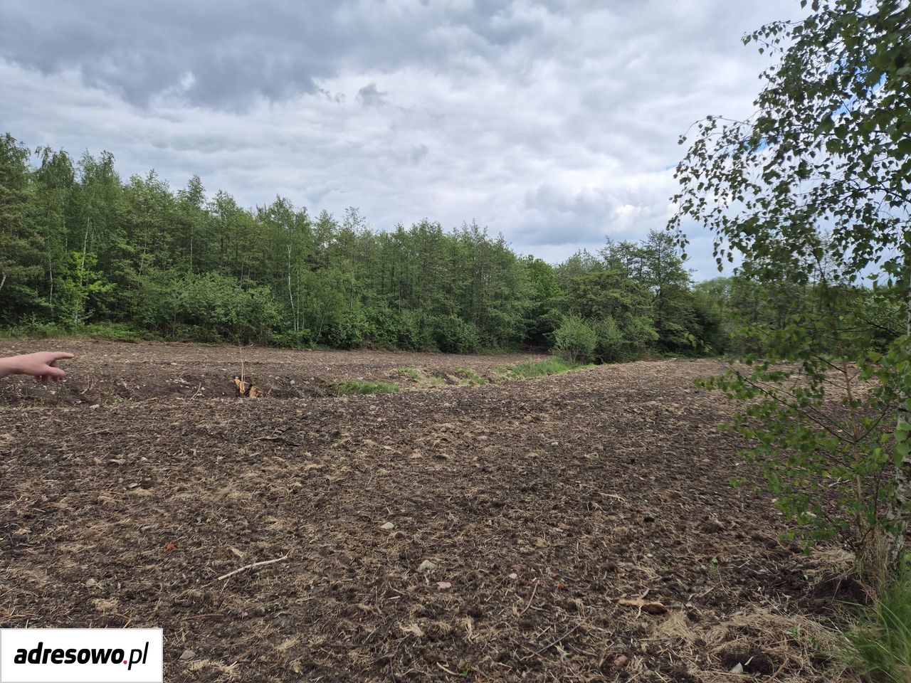 Działka budowlana Słupice, ul. Słowiańska. Zdjęcie 3