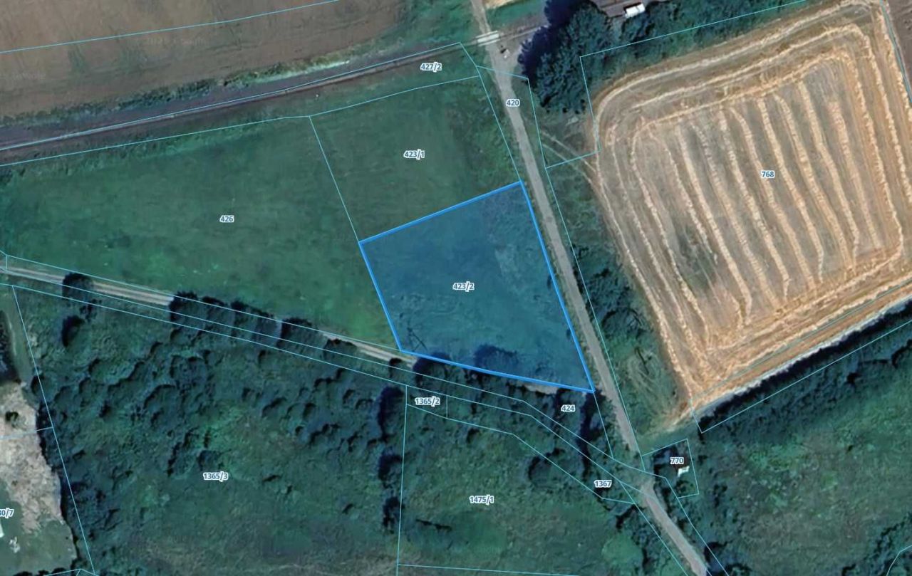 Działka inwestycyjna Stary Wielisław. Zdjęcie 2