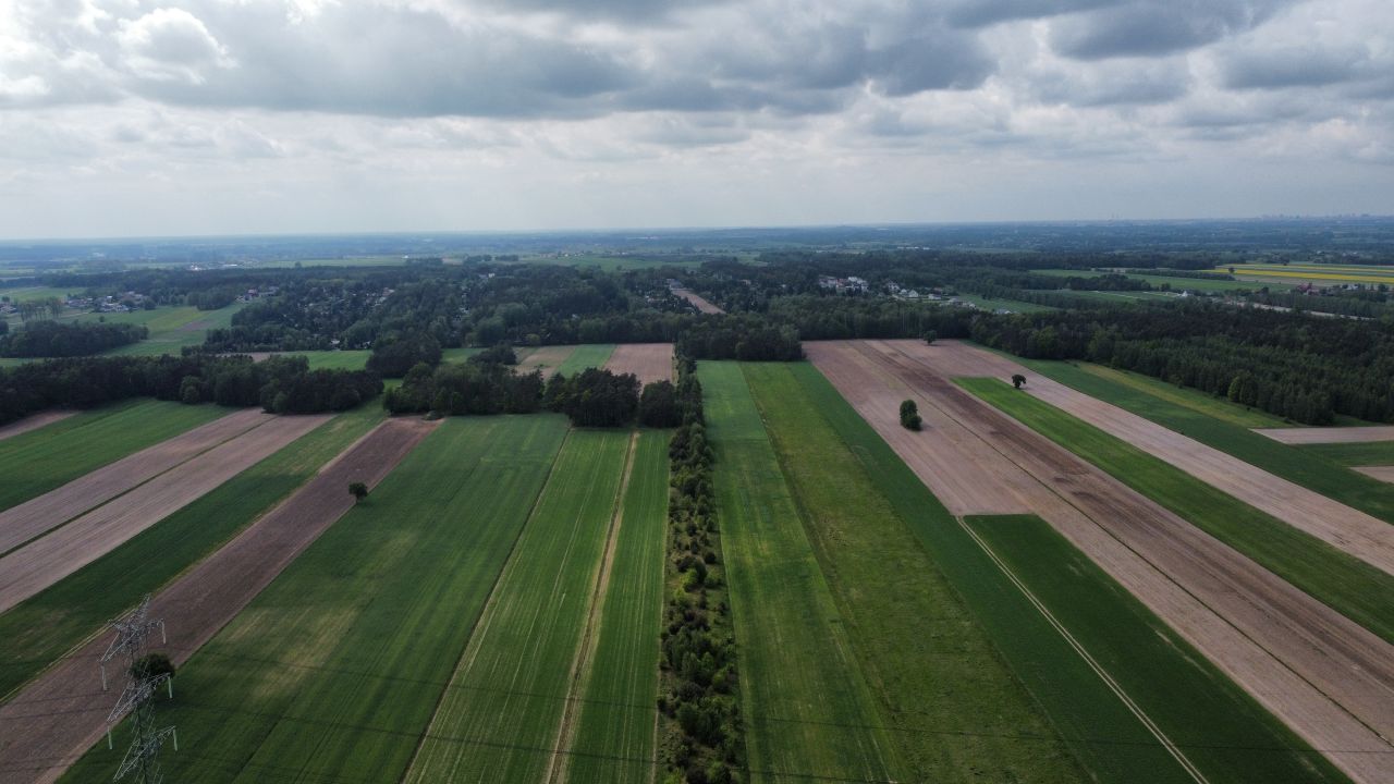 Działka rolna Pałczew, Pałczew. Zdjęcie 7