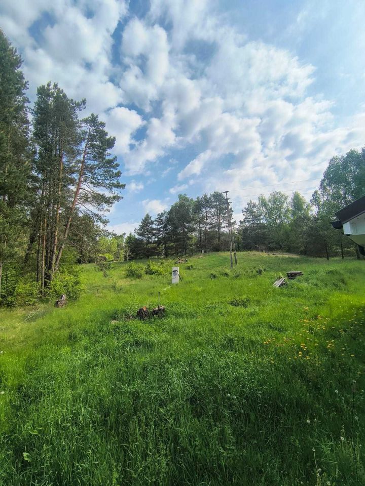 Działka siedliskowa Zabrodzie. Zdjęcie 8