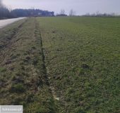 Działka budowlana Górki Duże, ul. Jutroszewska. Zdjęcie 2