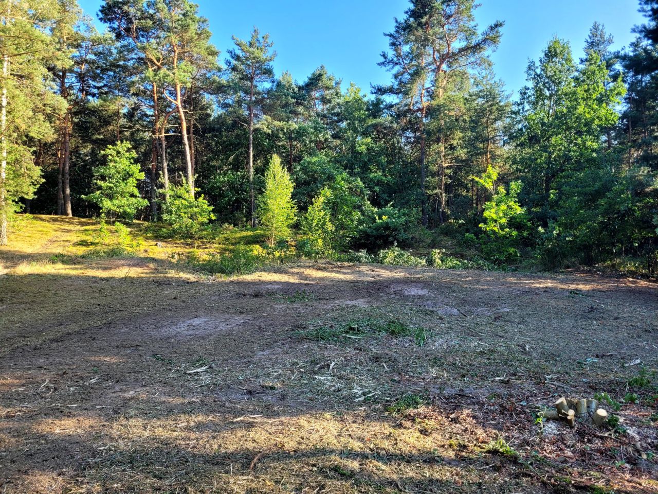 Działka budowlana Kazuń-Bielany, ul. Krótka. Zdjęcie 7