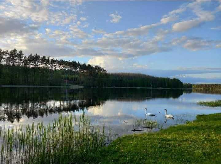 dom wolnostojący Kęszyca Leśna. Zdjęcie 6