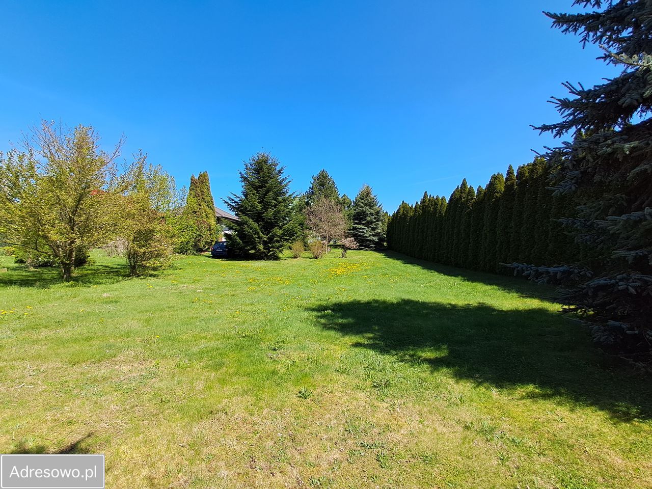 Działka budowlana Bogucin. Zdjęcie 15