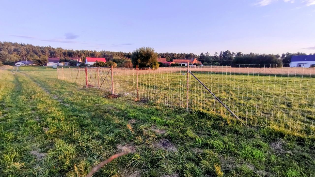 Działka budowlana Polichno. Zdjęcie 2