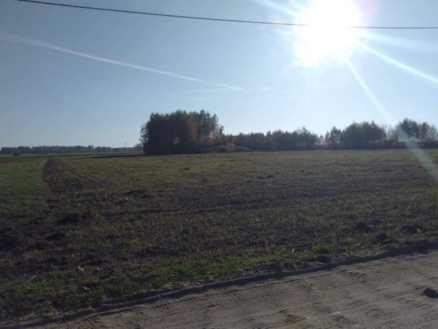 Działka rolna Proboszczewice. Zdjęcie 1