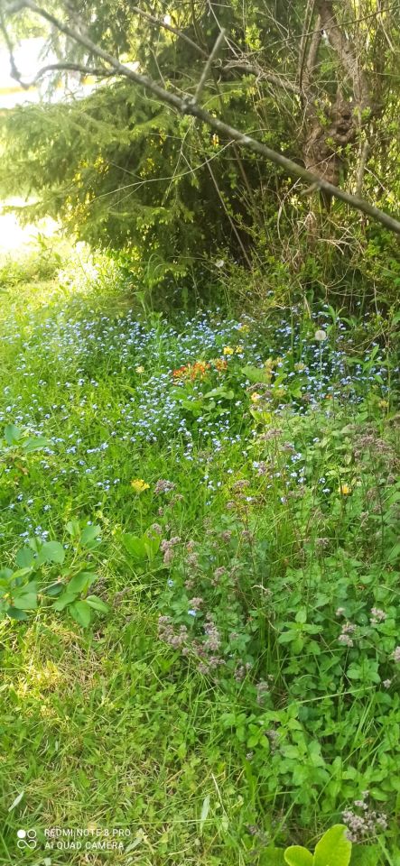 Działka rod Poznań Nowe Miasto, ul. Głuszyna