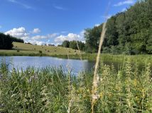 Działka budowlana Rogowo. Zdjęcie 2