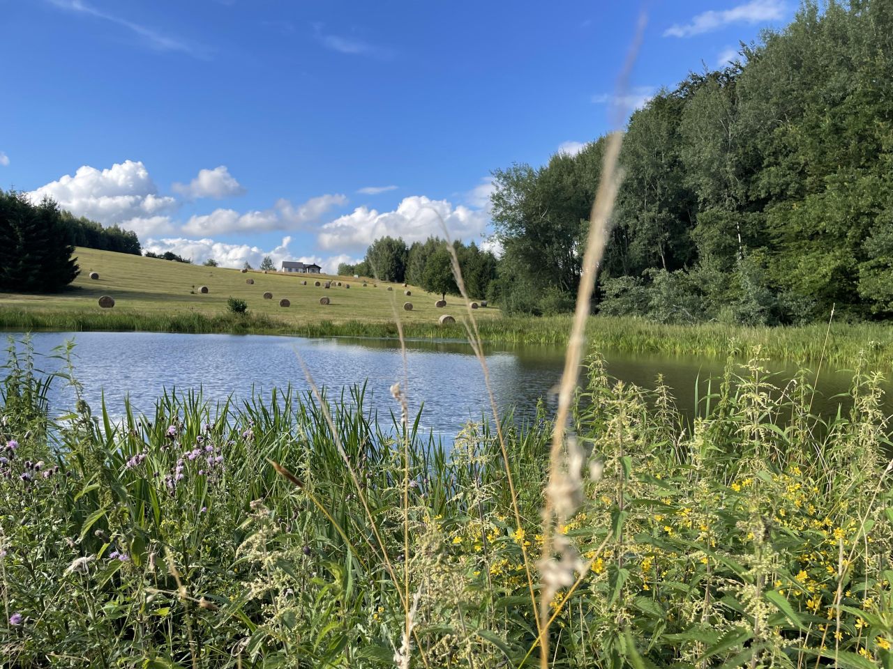 Działka budowlana Rogowo. Zdjęcie 3