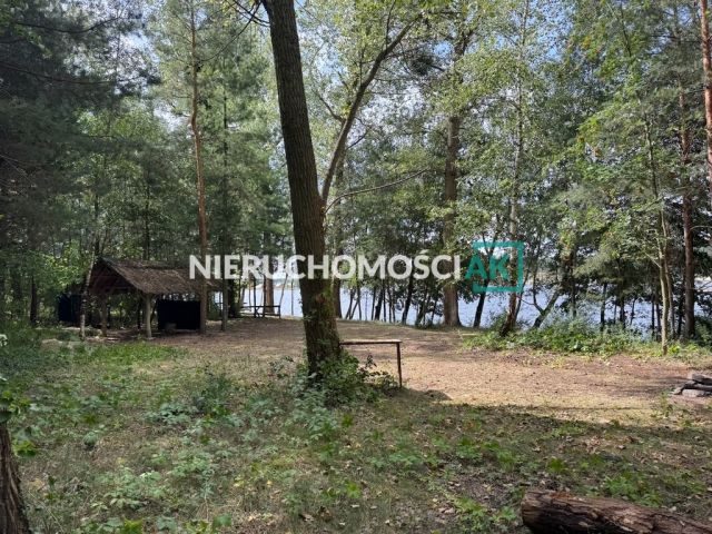 Działka leśna Głębockie Pierwsze. Zdjęcie 4