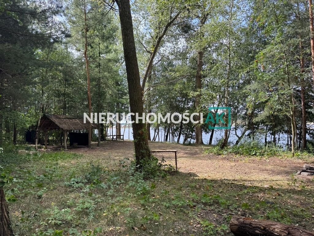 Działka leśna Głębockie Pierwsze. Zdjęcie 4