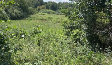 Działka siedliskowa Rożki Adamów