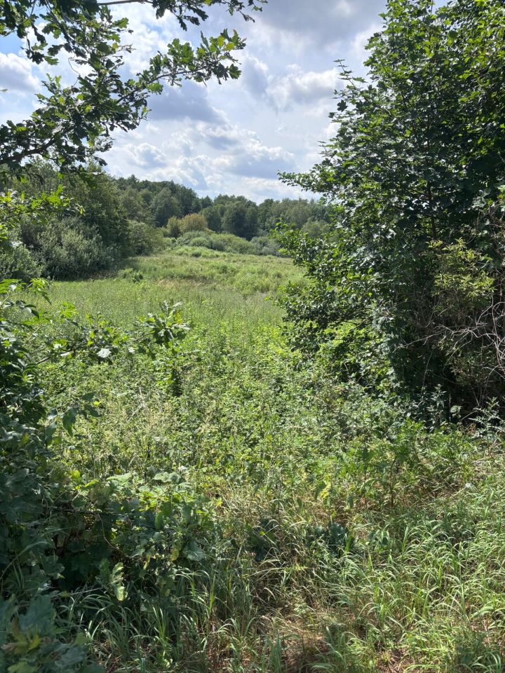 Działka siedliskowa Rożki Adamów