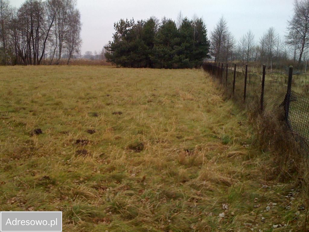 Działka rolno-budowlana Grodzisk Mazowiecki, ul. Przeskok. Zdjęcie 3