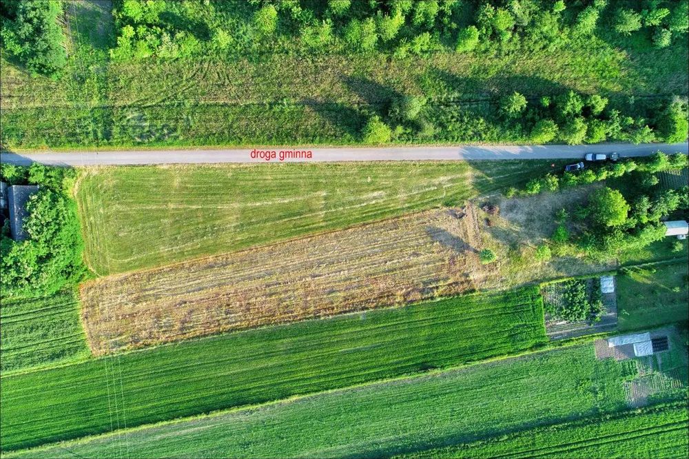 Działka rolno-budowlana Sosnówka. Zdjęcie 2