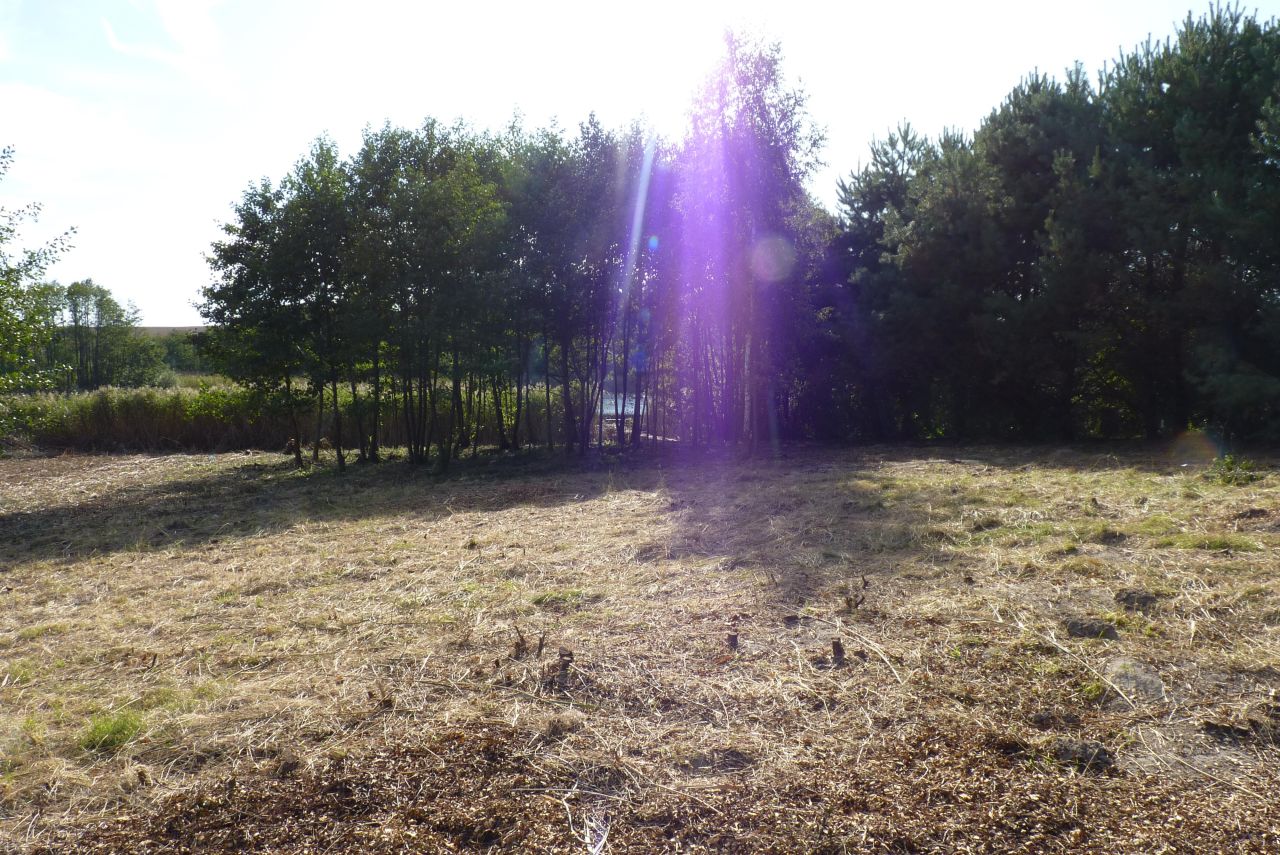 Działka rolna Zieleniewo. Zdjęcie 13